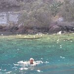 Photo taken by Cindi N
