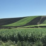 Photo taken by Susan D