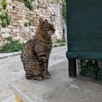 Photo taken by Elin T