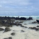 Photo taken by Hale S