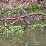 Photo taken by Kakoli K