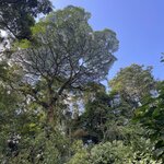 Photo taken by Matt P