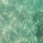 Photo taken by Julie H