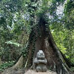 Photo taken by AnaElvia S