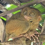 Photo taken by paul c