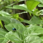 Photo taken by Ceinwen P