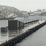 Photo taken by Katie D