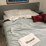 Photo taken by Khaled S