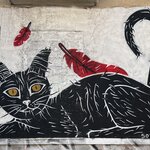 Photo taken by Susan & Bob M