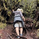 Photo taken by Dennis N