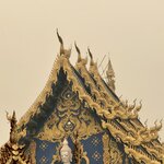 Photo taken by Shaula L