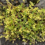 Photo taken by Christina L