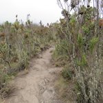 Photo taken by Kristin M