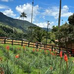 Photo taken by Amanda P