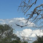 Photo taken by Michael Z