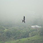 Photo taken by Marcia G