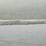 Photo taken by Bob J