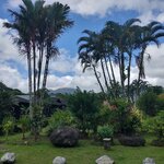 Photo taken by Gill P