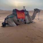 Photo taken by Cynthia F