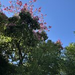 Photo taken by Stephen s