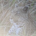 Photo taken by John B