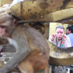 Swayambhunath, Monkey Temple  | Photo taken by Ana R