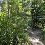 Photo taken by Les A