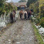 Photo taken by enrique jose g