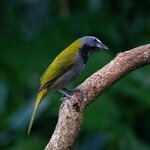 Photo taken by Dawne D