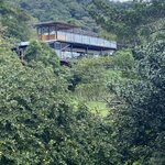 Photo taken by Tracie D