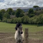 Photo taken by Claire R