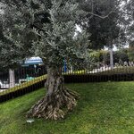 Photo taken by Dee C