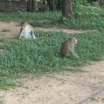 Photo taken by Ricky B