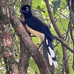 Photo taken by Andrew S