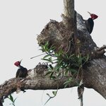 Photo taken by Joyce C