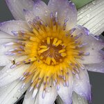 Photo taken by Mary K