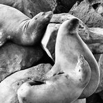 Photo taken by Katarzyna W