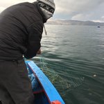 Photo taken by alton r