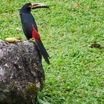 Photo taken by Brett F