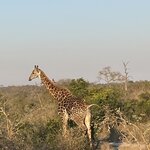 Photo taken by Joanne B