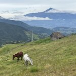 Photo taken by Vicki Lynn M