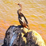 Photo taken by Dennis H