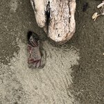 Photo taken by Anna L