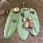 Photo taken by Tracie D