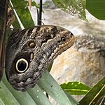 Photo taken by Brian L