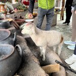 Photo taken by joy w