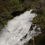 Photo taken by Marcia G