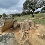 Photo taken by Lynn T