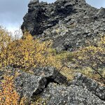 Photo taken by Nan K