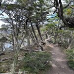 Photo taken by Yelena L